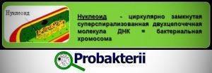 Урок биологии на тему "«значение бактерий в природе и жизни человека .болезнетворные бактерии.»( 6 класс)
