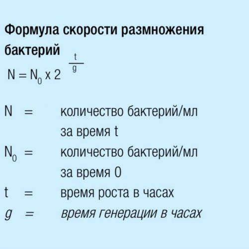 Вирусы и бактерии