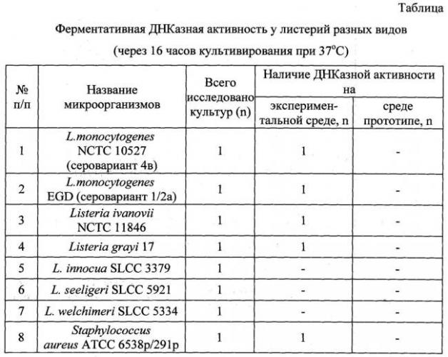 Различия в строении клеток бактерий, дрожжей и плесневых грибов