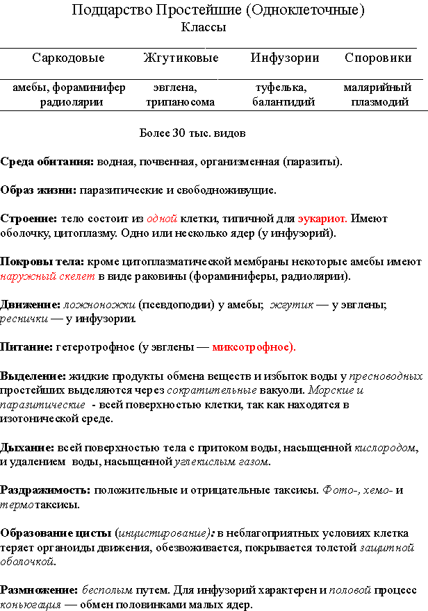 Чем бактерии отличаются от простейших. разница между бактериями и простейшими