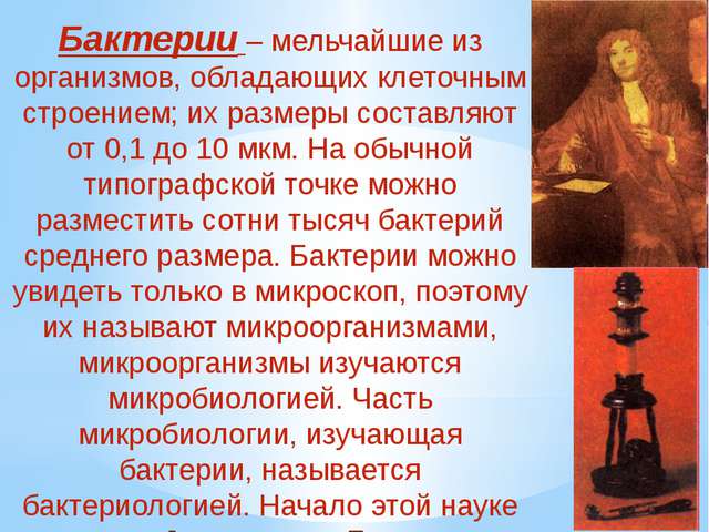 Бактерии — общая характеристика. классификация, строение, питание и роль бактерий в природе