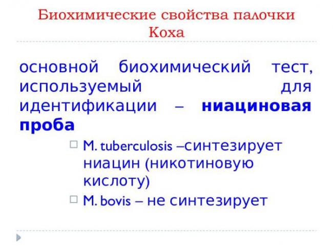 Палочка коха: что это такое, как передается и сколько живет | все о паразитах