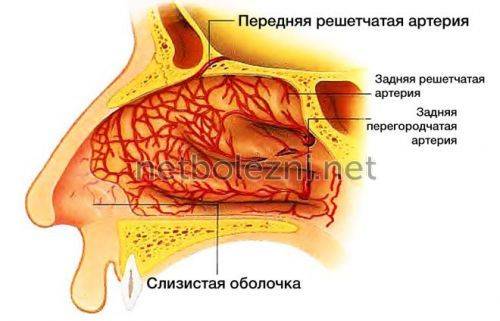 Лечение болячек на лице в зависимости от их причины