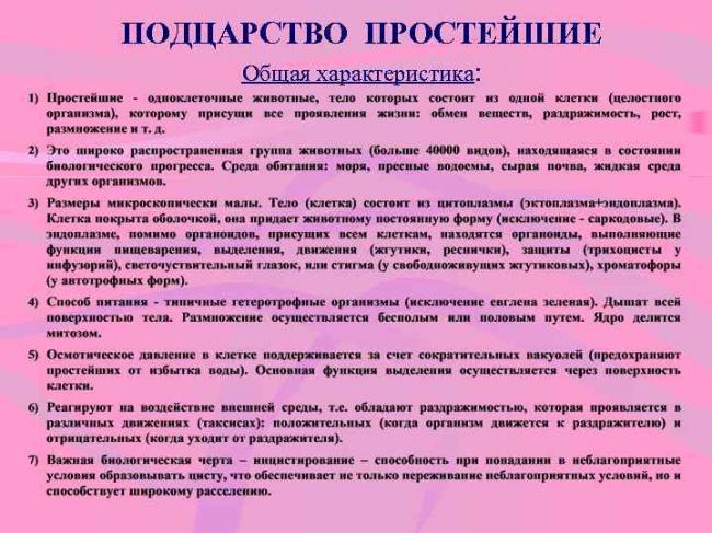 Чем бактерии отличаются от простейших