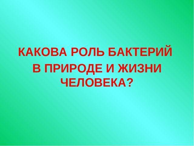 Кефир и йогурт: как выбрать «живой» продукт? состав и сроки хранения