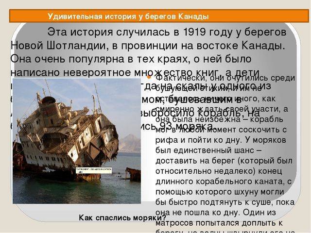 Биология: почему бактерии считаются самой древней группой живых существ на земле?какие...