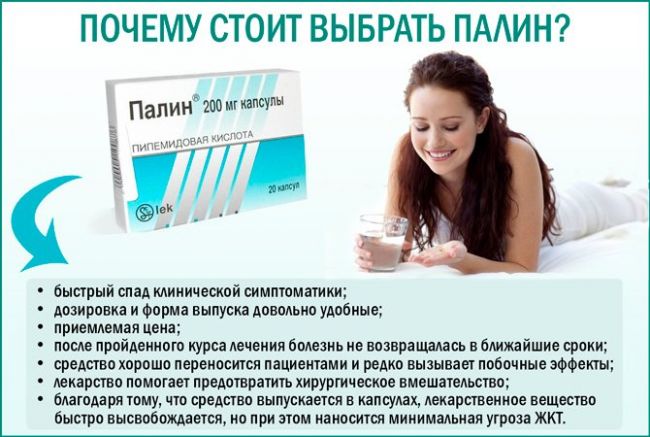 Свечи при цистите «палин»: инструкция по применению