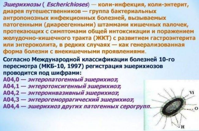 Ñ ðºð¾ð³ð¾ ð±ñð»ð¸ ññðµñð¸ñ
ð¸ñ ðºð¾ð»ð¸ ð¸ ñð½ñðµñð¾ðºðº ñðµðºð°ð»ð¸ñ ð² ð¼ð°ð·ðºðµ?