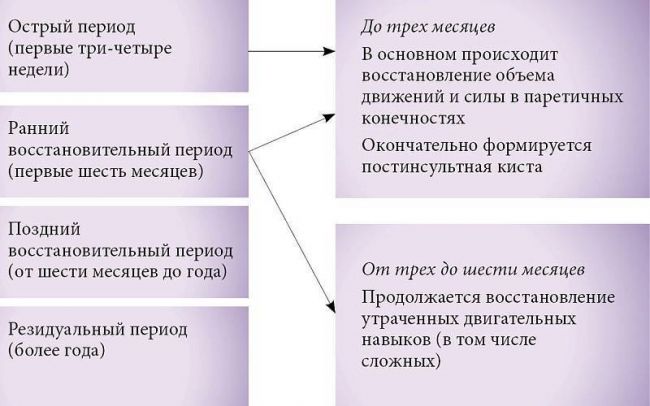 Из-за чего образуется пневмония после инсульта, чем опасна и как лечится. чем опасно воспаление легких после инсульта, как его лечить и предупредить