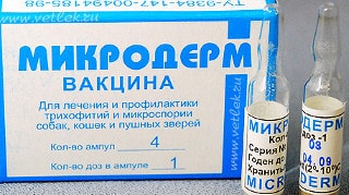 Micoderm от грибка: мгновенно действует, активно уничтожая микробы!