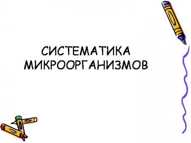 Методы как инструменты изучения бактерий их основных свойств