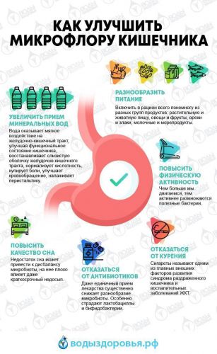 Раскрываем секрет, в каких продуктах содержатся пробиотики