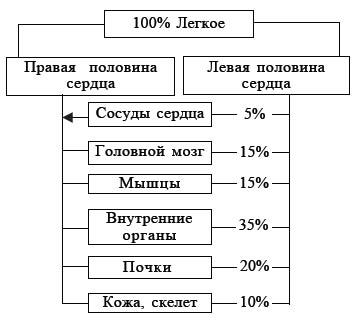 Анализ крови при лейкозе
