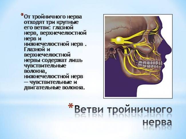 Болит горло отдает в ухо как лечить