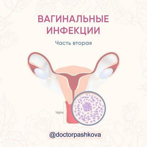 Как восстановить микрофлору влагалища: пероральные и вагинальные препараты