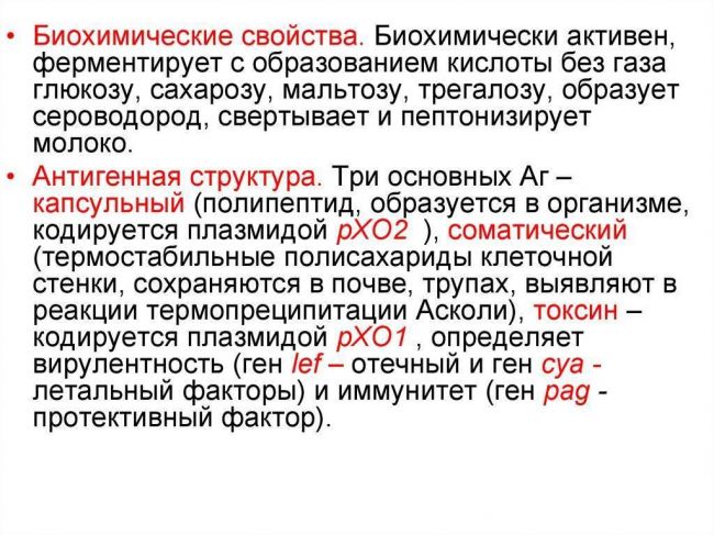 Возбудитель сибирской язвы план 1.морфология возбудителя 2. культуральные и биохимические свойства 3.диагностика и профилактика сибирской язвы здоровье. - презентация