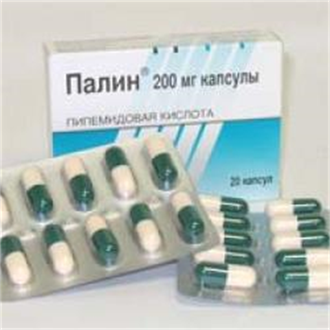 Палин