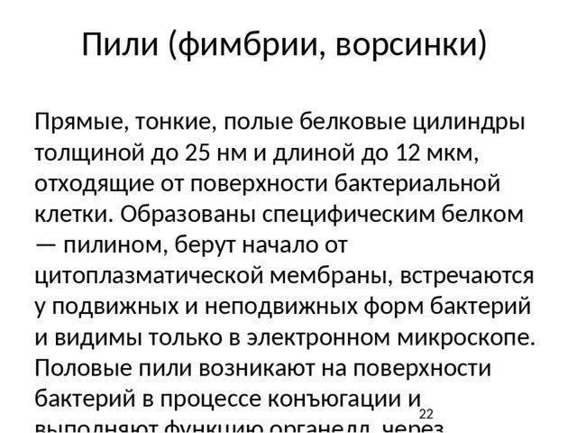 Строение и функции рибосом. биосинтез белков и значение рибосом для организма