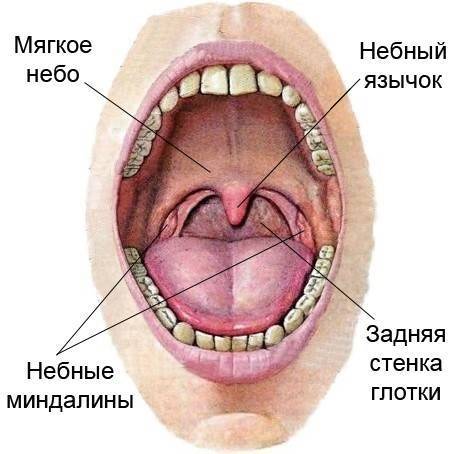 Как избавиться от храпа во сне в домашних условиях