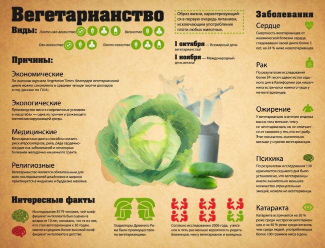 Меню вегетарианца для похудения и набора массы