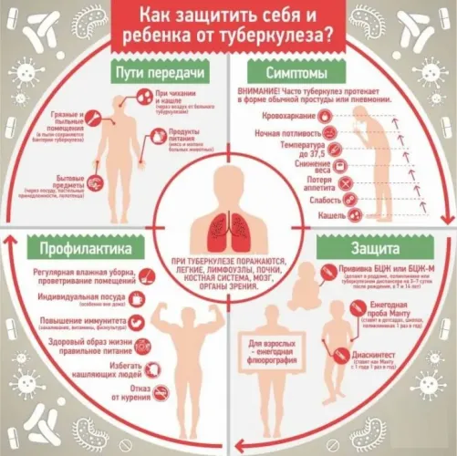 Инкубационный период туберкулеза у взрослых: через сколько времени проявляется после заражения?