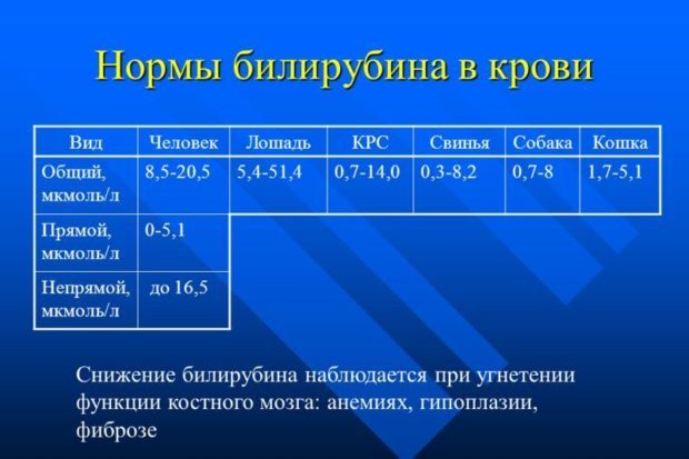 Медикаментозные и домашние методы снизить билирубин взрослому