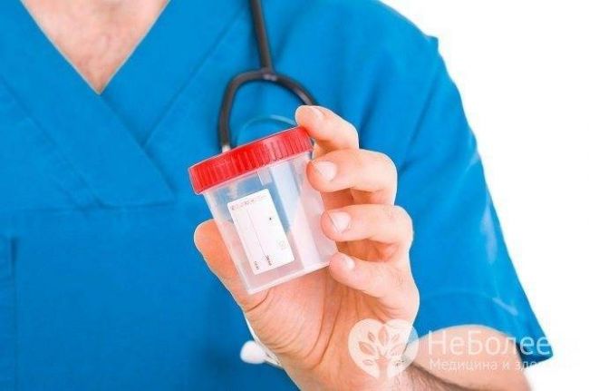 Туберкулезная палочка — что это такое