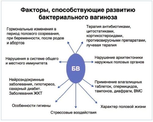Бактериальный вагиноз: симптомы, диагностика и лечение