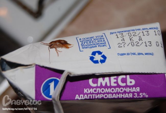 Как похудеть с помощью обычной кукурузной каши