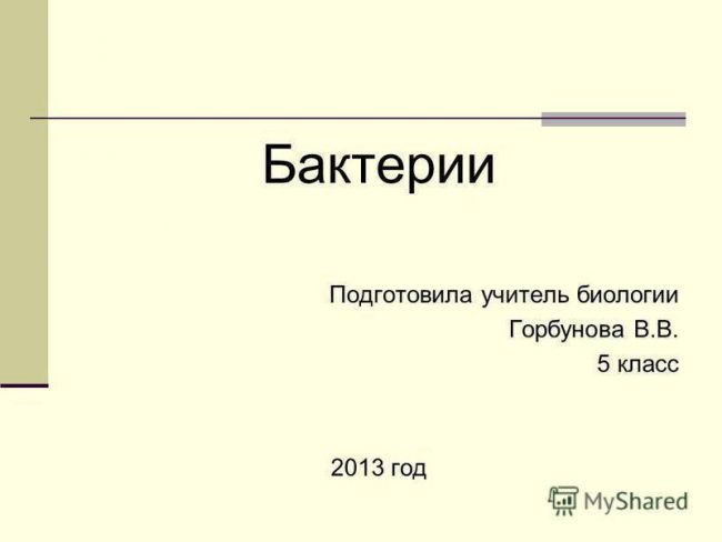 Строение бактериальной клетки