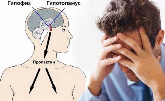 Лактогенный гормон