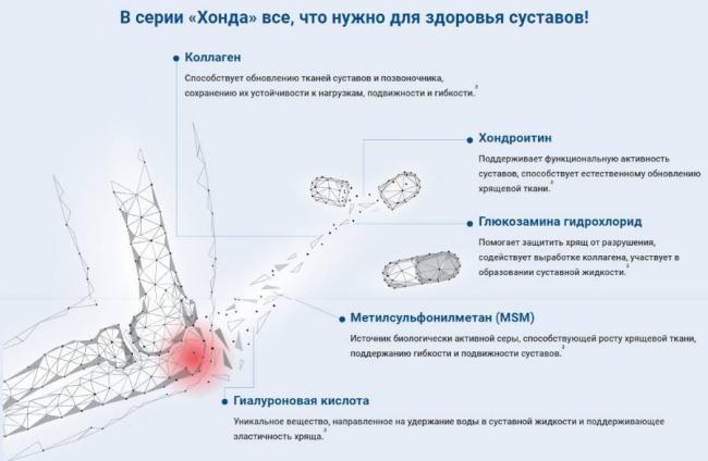 БАД Эвалар Хонда форте - отзыв