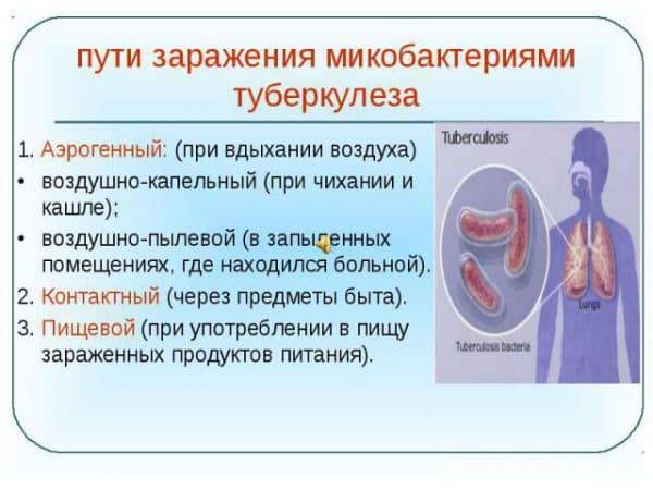 Инкубационный период туберкулеза у взрослых: через сколько времени проявляется после заражения?