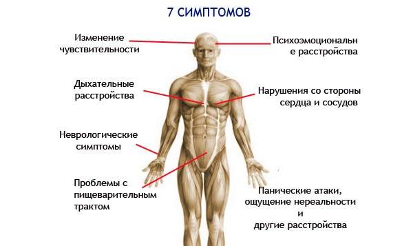 Диета при всд меню. диета при вегето-сосудистой дистонии (всд)