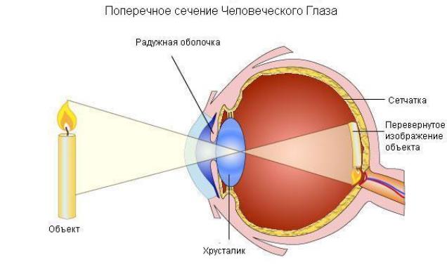 Таблица для проверки зрения (таблица сивцева)