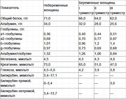 Диета при повышенном билирубине: примерное меню и рекомендации