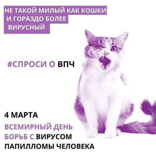 Можно ли пить алкоголь после прививки адсм?