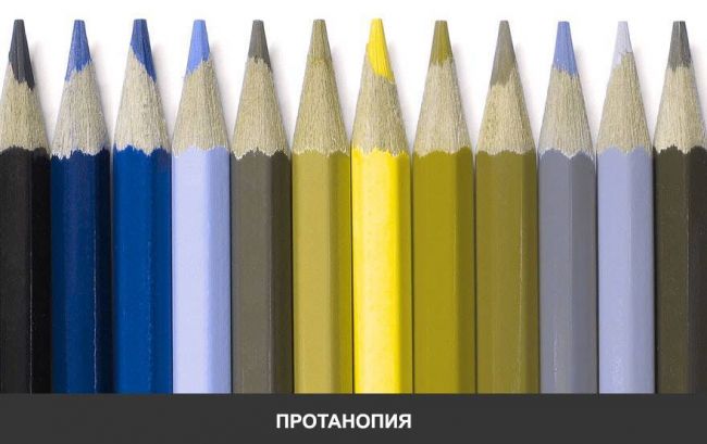 Проверка зрения на цветовосприятие для водителей