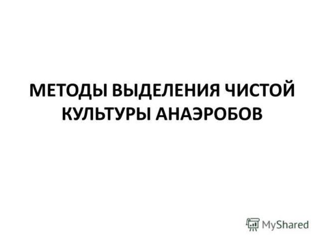 Жизнь на планете всем обязана анаэробным и аэробным бактериям