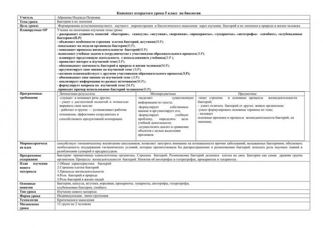 Болезнетворные бактерии: на коже, во рту, в кишечнике. фото грибков и бактерий