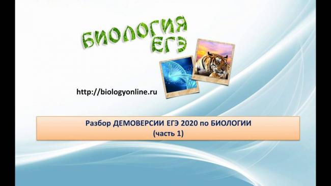 Роль молекулы днк в бактериальной клетке: просто о сложном
