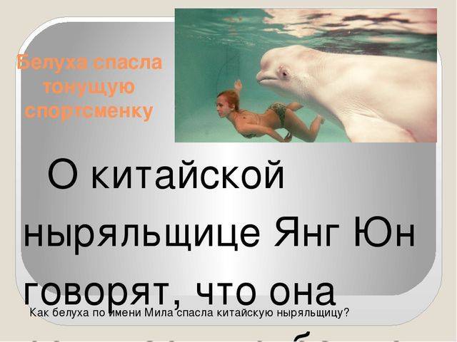 Читать книгу биология. многообразие живых организмов. бактерии, грибы, растения. 7 класс н. и. сонина : онлайн чтение - страница 2