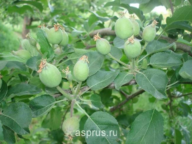 Введите код, указанный на картинке