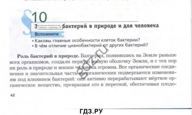 Готовим домашний йогурт - vkuskakdoma.ru