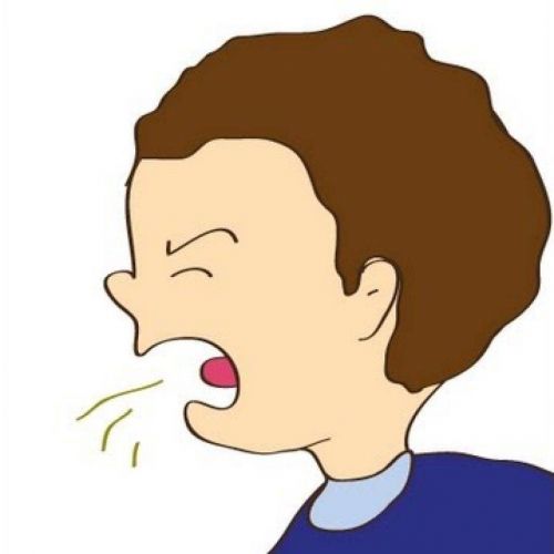 Комаровский – бронхит: обструктивная форма, лечение у детей, отзывы