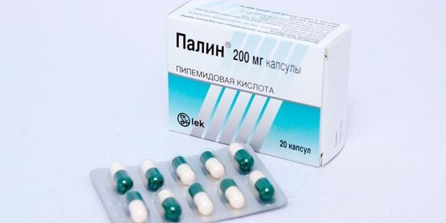 Антибактериальный препарат палин: инструкция по применению, цена, аналоги и отзывы