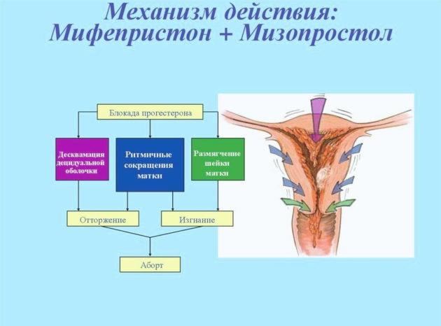 миролют: аналоги (мнн или международное непатентованное название), чем можно заменить (миропристон, мифепристон, мизопростол, пенкрофтон и т.д.) – обзор с указанием цен