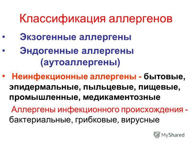 Бактерия – возбудитель туберкулеза: специфика и патогенез