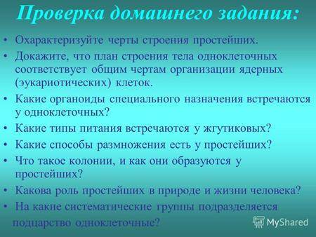 Разнообразие живого