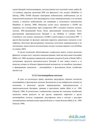 Простейшие бактерии